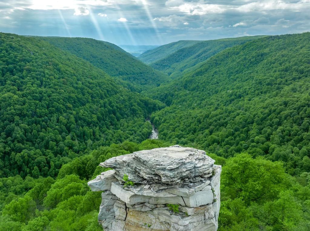 Valea râului Olt